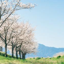橋岡会館の公式LINEをはじめました😊イベントや地域情報をお届けします🌸